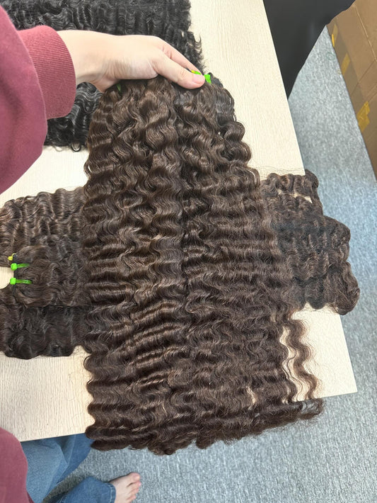 SDD Burmese Curls